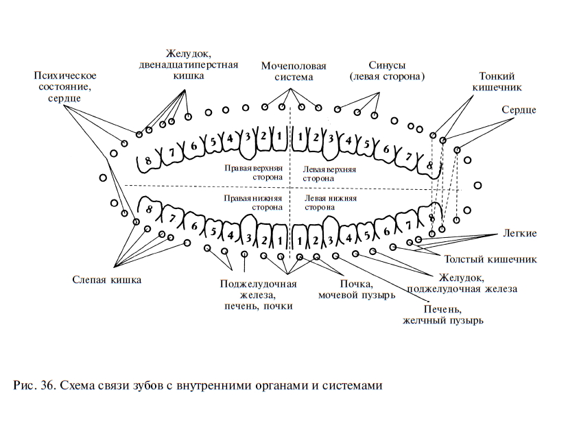 Схема обозначения зубов